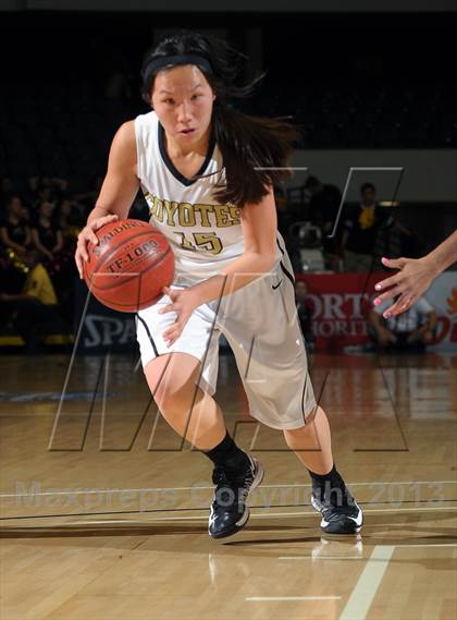 Thumbnail 3 in Alemany vs. Calabasas (CIF SS D3AA Final) photogallery.