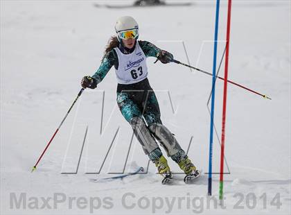 Thumbnail 2 in NYSPHSAA Alpine Championships (Slalom - 2nd Run) photogallery.
