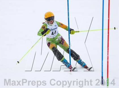 Thumbnail 2 in NYSPHSAA Alpine Championships (Slalom - 2nd Run) photogallery.