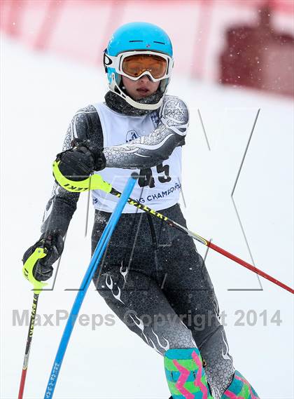 Thumbnail 2 in NYSPHSAA Alpine Championships (Slalom - 2nd Run) photogallery.