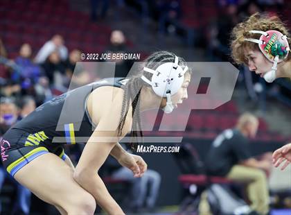 Thumbnail 3 in CIF State Championships (Girl's Semifinals) photogallery.