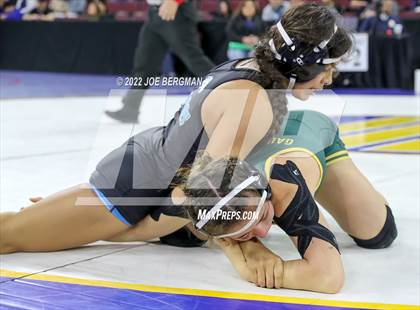 Thumbnail 2 in CIF State Championships (Girl's Semifinals) photogallery.