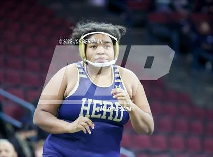 Thumbnail 1 in CIF State Championships (Girl's Semifinals) photogallery.