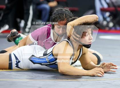 Thumbnail 3 in CIF State Championships (Girl's Semifinals) photogallery.