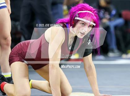 Thumbnail 3 in CIF State Championships (Girl's Semifinals) photogallery.