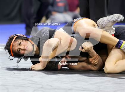 Thumbnail 2 in CIF State Championships (Girl's Semifinals) photogallery.