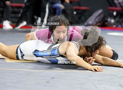 Thumbnail 2 in CIF State Championships (Girl's Semifinals) photogallery.