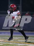 Photo from the gallery "Antelope @ Inderkum"