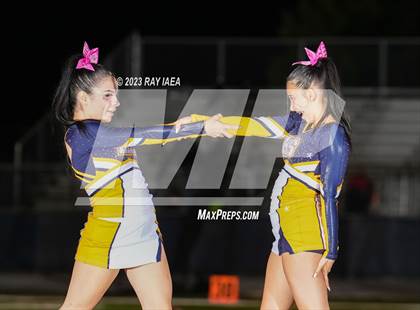 Thumbnail 1 in Antelope @ Inderkum photogallery.