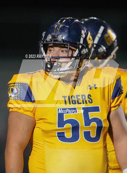 Thumbnail 3 in Antelope @ Inderkum photogallery.
