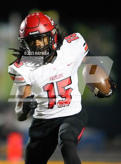 Thumbnail 1 in Antelope @ Inderkum photogallery.