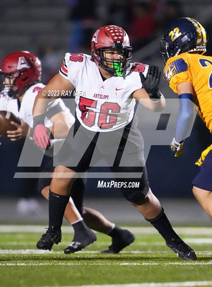 Thumbnail 1 in Antelope @ Inderkum photogallery.