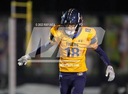 Thumbnail 2 in Antelope @ Inderkum photogallery.