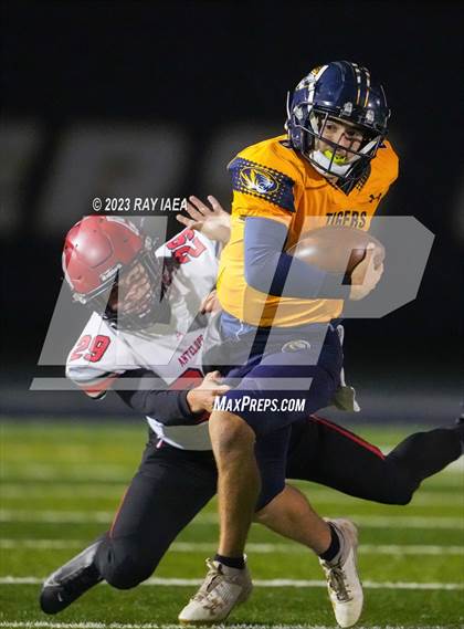 Thumbnail 1 in Antelope @ Inderkum photogallery.