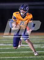 Photo from the gallery "Antelope @ Inderkum"