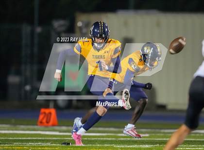 Thumbnail 3 in Antelope @ Inderkum photogallery.