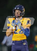 Photo from the gallery "Antelope @ Inderkum"
