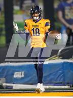Photo from the gallery "Antelope @ Inderkum"