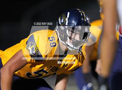 Thumbnail 1 in Antelope @ Inderkum photogallery.