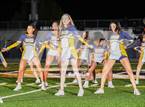 Photo from the gallery "Antelope @ Inderkum"