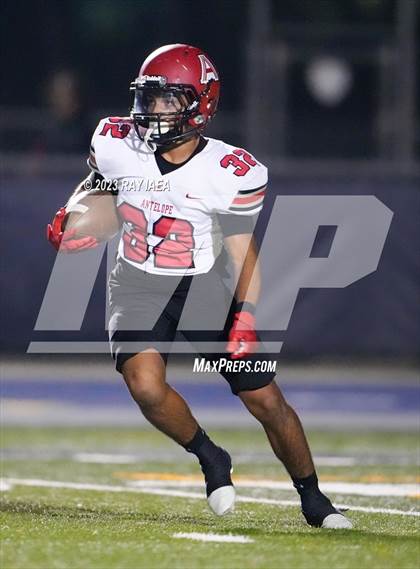 Thumbnail 1 in Antelope @ Inderkum photogallery.