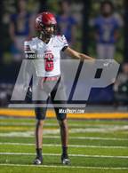 Photo from the gallery "Antelope @ Inderkum"