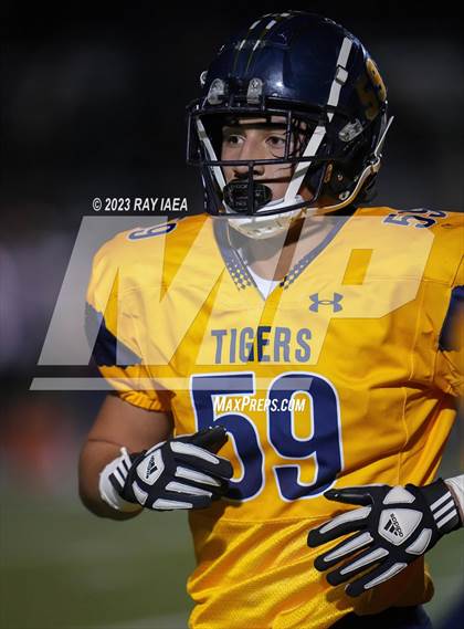 Thumbnail 3 in Antelope @ Inderkum photogallery.