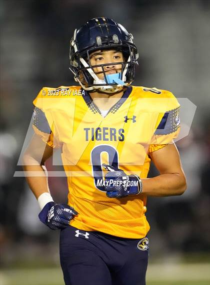 Thumbnail 1 in Antelope @ Inderkum photogallery.