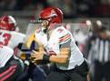 Photo from the gallery "Antelope @ Inderkum"