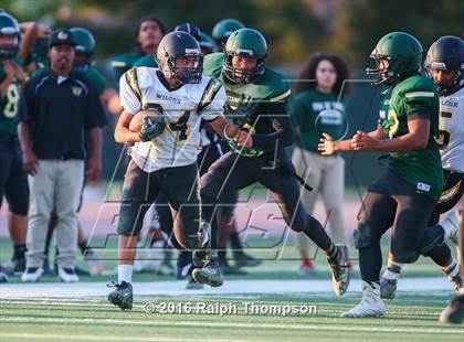 Thumbnail 1 in Wilcox vs. Monterey Trail photogallery.