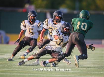 Thumbnail 2 in Wilcox vs. Monterey Trail photogallery.