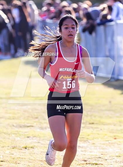 Thumbnail 2 in CIF Central Section Cross Country Championships (Girls D1 Race) photogallery.