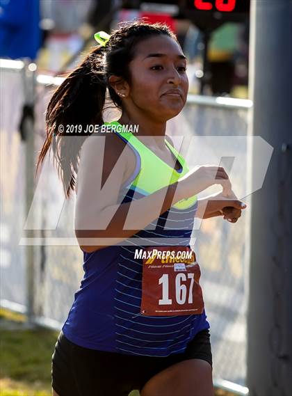 Thumbnail 1 in CIF Central Section Cross Country Championships (Girls D1 Race) photogallery.