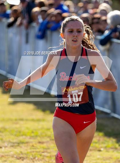Thumbnail 1 in CIF Central Section Cross Country Championships (Girls D1 Race) photogallery.