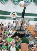 Photo from the gallery "Horizon @ Sunnyslope"