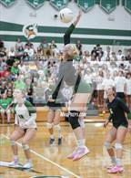 Photo from the gallery "Horizon @ Sunnyslope"