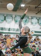 Photo from the gallery "Horizon @ Sunnyslope"