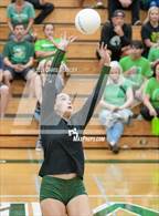 Photo from the gallery "Horizon @ Sunnyslope"