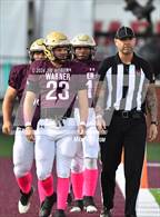 Photo from the gallery "Panama @ Warner"