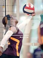 Photo from the gallery "The Academy of the Holy Cross vs. Bishop McNamara (Tiger Paws Invitational)"