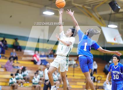 Thumbnail 3 in Triton @ Pine Forest photogallery.
