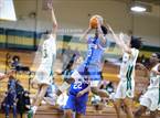 Photo from the gallery "Triton @ Pine Forest"