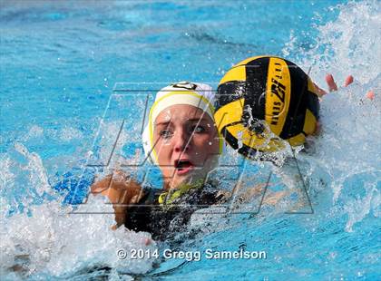 Thumbnail 2 in Davis vs Del Oro (Capital Challenge) photogallery.