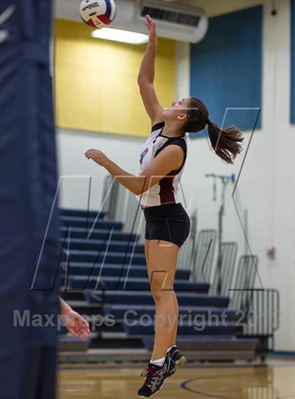 Thumbnail 1 in Handley @ Loudoun County photogallery.