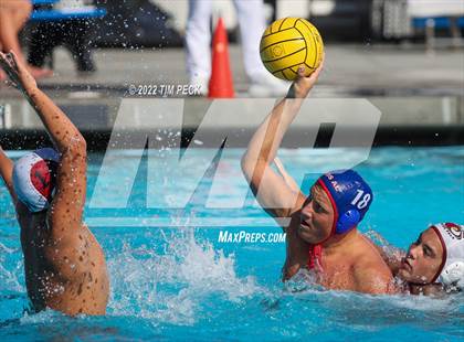 Thumbnail 1 in Laguna Beach @ Los Alamitos photogallery.