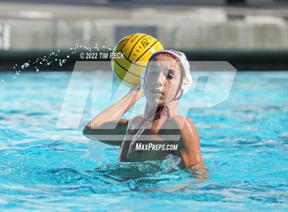 Thumbnail 2 in Laguna Beach @ Los Alamitos photogallery.