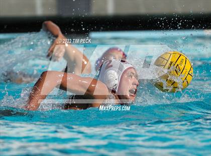 Thumbnail 2 in Laguna Beach @ Los Alamitos photogallery.