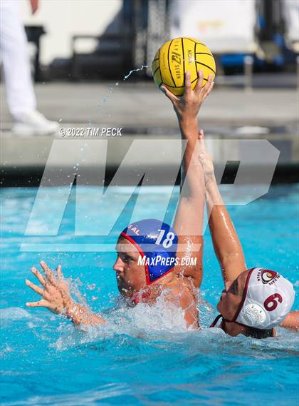 Thumbnail 2 in Laguna Beach @ Los Alamitos photogallery.