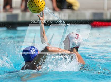 Thumbnail 3 in Laguna Beach @ Los Alamitos photogallery.
