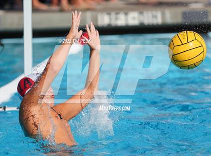 Thumbnail 3 in Laguna Beach @ Los Alamitos photogallery.